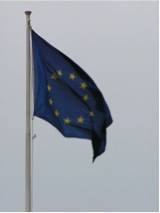 Brexit … Thoughts on the implications for our employment law